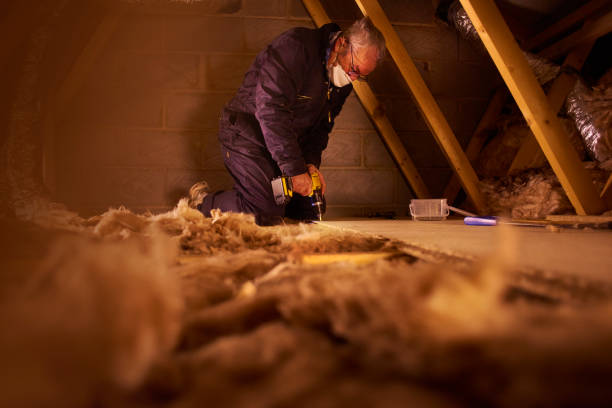 Best Cellulose Insulation in Goldendale, WA