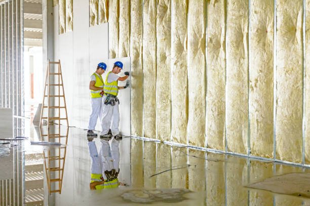 Best Geographic-Specific Insulation Services in Goldendale, WA